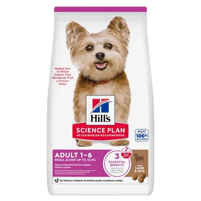 Hill's Science Plan Adult 1-6 Small & Mini Miel & orez 6 kg