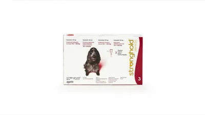 Stronghold câini 10,1-20 kg, 3 pipete