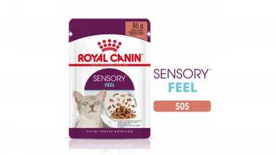 Royal Canin Sensory Feel hrană umedă pisici stimularea simțului tactil (în sos), 85g