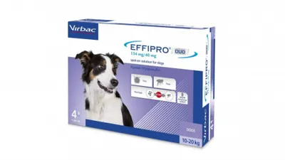 Effipro Duo câini 10-20 kg, 4 pipete