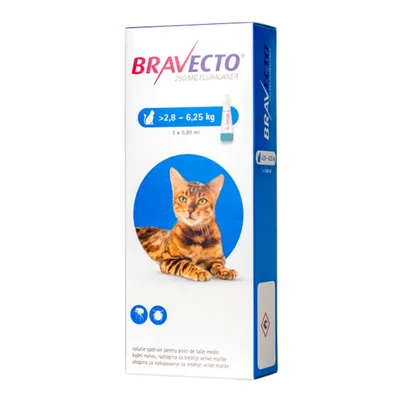 Bravecto pisici 2,8-6,25 kg, 1 pipetă