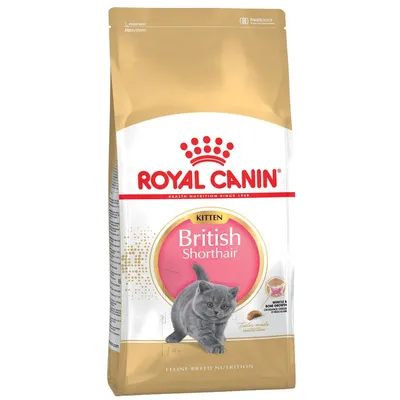 Royal Canin British Shorthair Kitten 10 kg