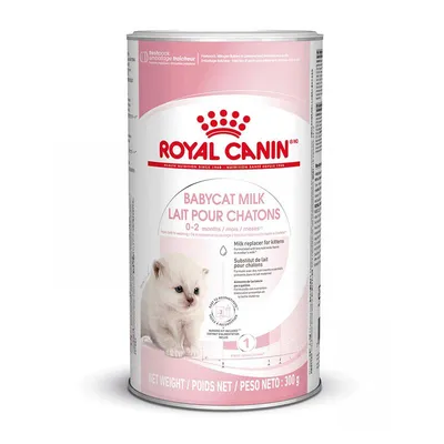 Royal Canin Babycat Milk 2 x 300 g