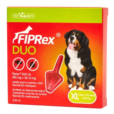 Fiprex Duo câini 40-60 kg, 1 pipetă