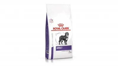 Royal Canin VD Adult Large Dog, L-XL, dietă veterinară, hrană uscată câini, 4kg