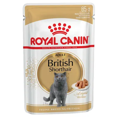 Royal Canin British Shorthair Adult în sos 24 x 85 g