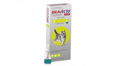 Bravecto Plus pisici 1,2-2,8 kg, 1 pipetă