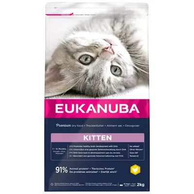 Eukanuba Healthy Start Kitten 2 kg