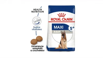 Royal Canin Maxi Adult 5+, hrană uscată câini, 4kg