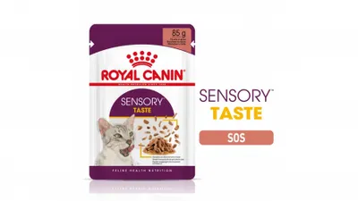 Royal Canin Sensory Taste hrană umedă pisici stimularea gustului (în sos), 85g