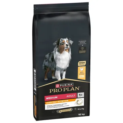 Purina Pro Plan Medium Adult Everyday Nutrition 16 kg