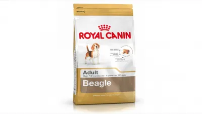 Royal Canin Beagle Adult, hrană uscată câini, 3kg