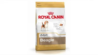Royal Canin Beagle Adult, hrană uscată câini, 3kg