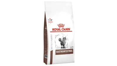 Royal Canin VD Gastrointestinal, dietă veterinară, hrană uscată pisici, sistem digestiv, 400g
