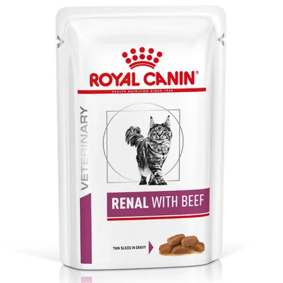 Royal Canin Veterinary Feline Renal în sos Vită 12 x 85 g