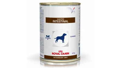 Royal Canin VD Gastrointestinal , Xs-Xl, dietă veterinară, conservă hrană umedă câini, sistem digestiv, (pate), 400g