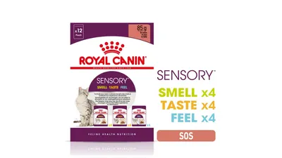 Royal Canin Sensory, hrană umedă pisică, stimularea simțurilor (în sos), 12x85g