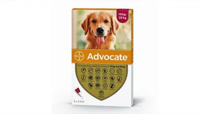 Advocate câini 10-25 kg, 3 pipete