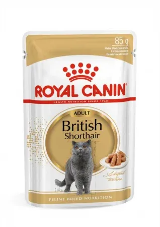 Royal Canin British Shorthair Adult, hrană umedă pisici, (în sos), 85g