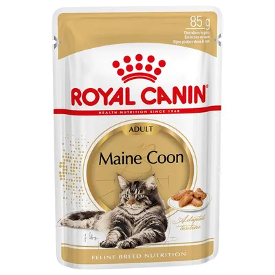 Royal Canin Maine Coon Adult în sos 24 x 85 g