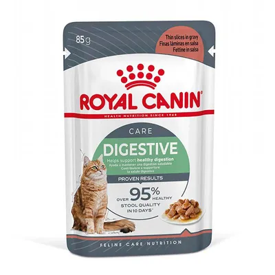 Royal Canin Digestive Care în sos 12 x 85 g