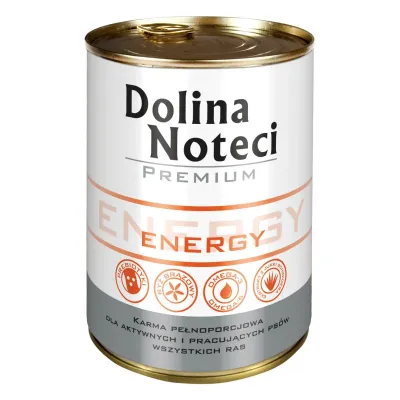 Dolina Noteci Premium Energy 400g