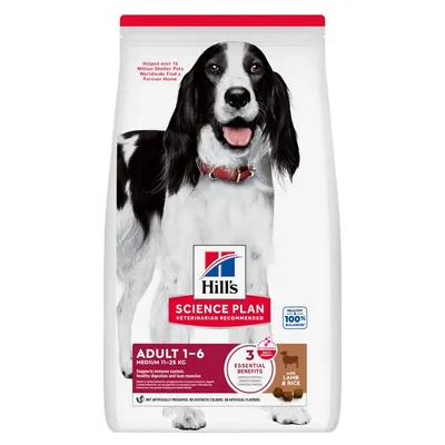 Hill's Science Plan Adult Medium Miel & orez 14 kg