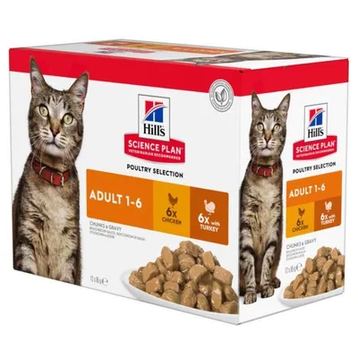 Hill's Science Plan Adult 12 x 85 g Selecție de pasăre